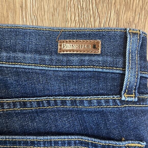 Principle Denim the Dreamer Skinny Jean - Picture 7 of 8